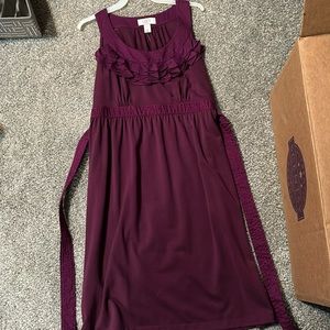 NWT Loft Petite dress!